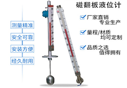 頂裝式磁翻板（bǎn）液位計