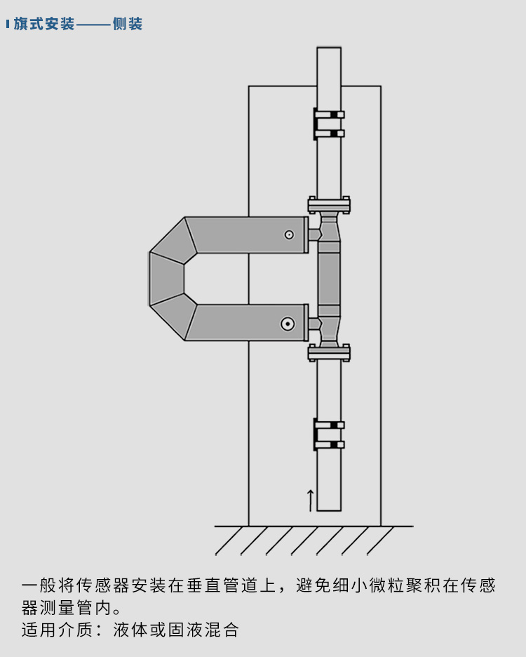 衛生型質量流量（liàng）計垂直安裝示意圖