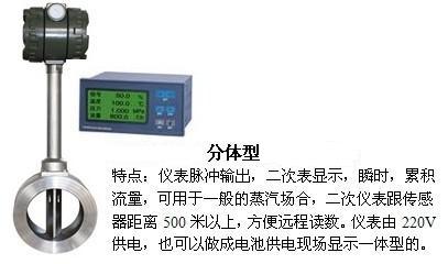 氫（qīng）氣計量表分體型產品圖